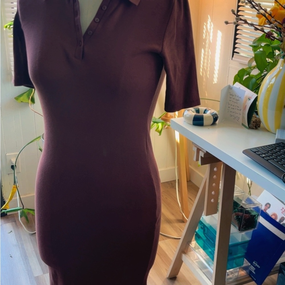 Elegant Burgundy Polo Dress